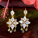 Tallulah Moonstone Labradorite Dangle Earrings