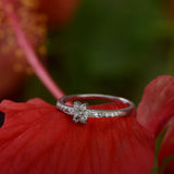 Diamond Devotion White Gold Ring